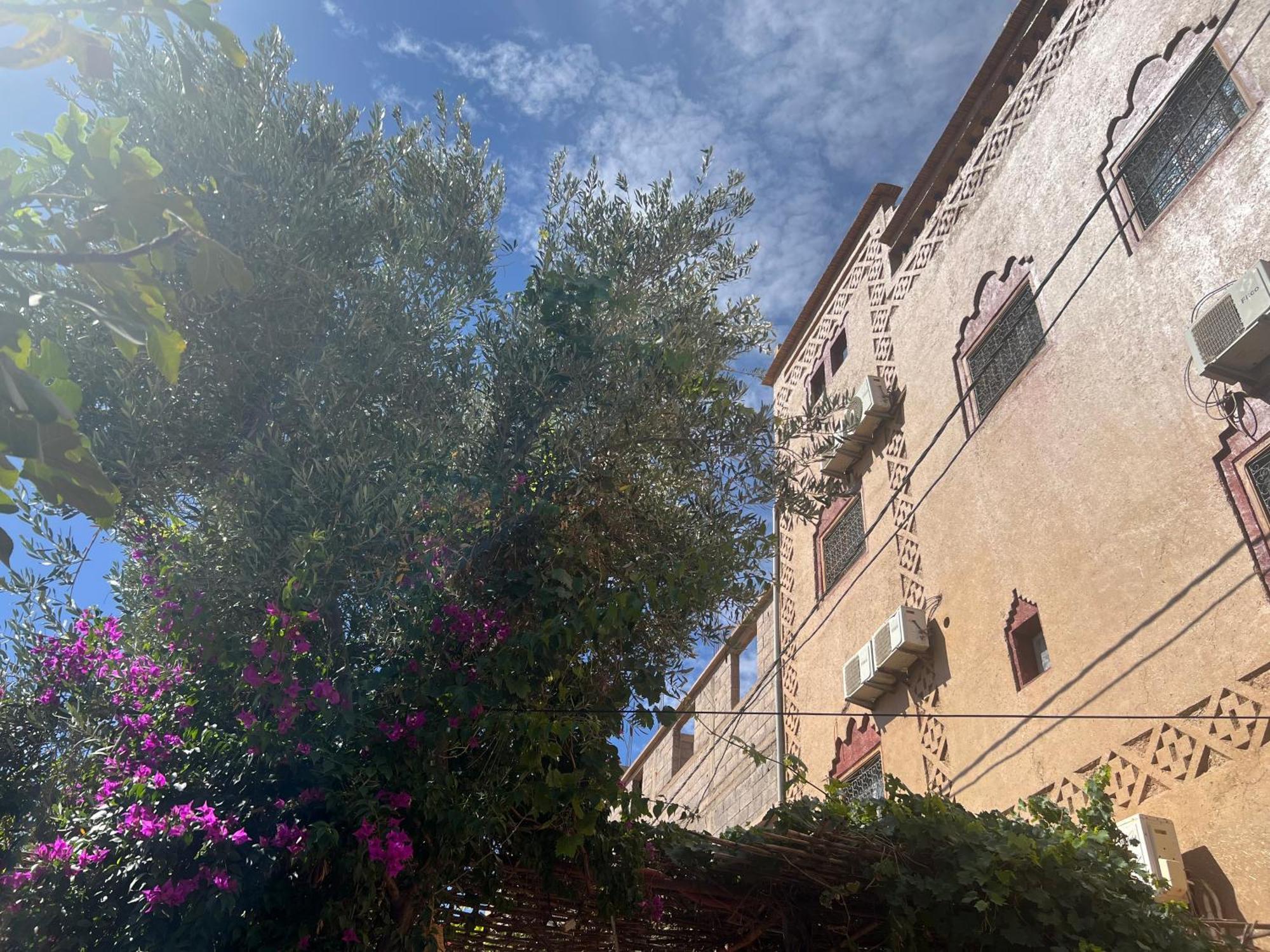 Dar Calme Chez El Bouhali Hotel Skoura Kültér fotó